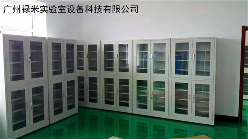 祿米實驗室物品儲存柜有哪些產品？