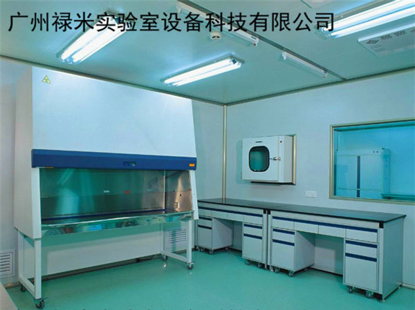 建立GMP實驗室目的是什么？