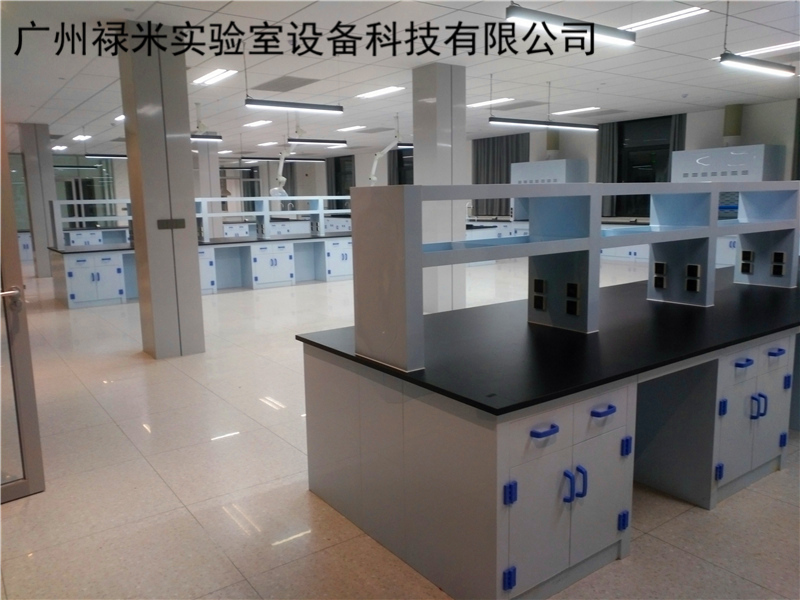 化工廠PP實驗室家具案例