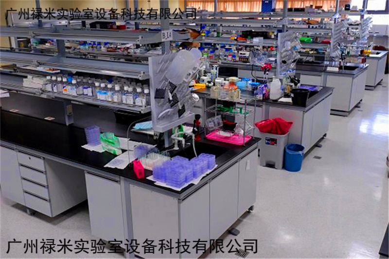 祿米實驗臺在實驗室家具中的發展和價格定位